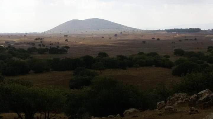 Апартаменты יער האלונים Эйн-Зиван Экстерьер фото